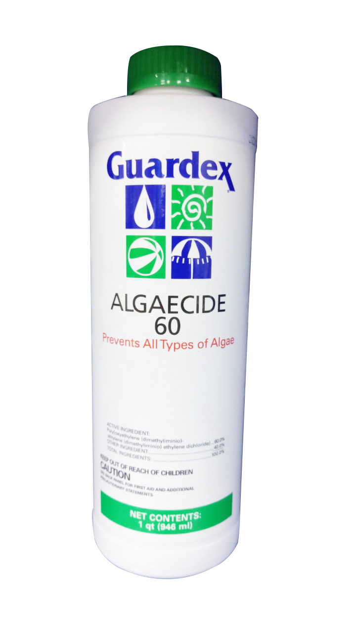 GRDX ALGAECIDE 60 1 LTR